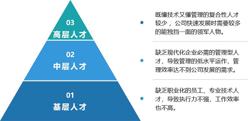 某港资餐饮生产型企业商业模式设计(图2)